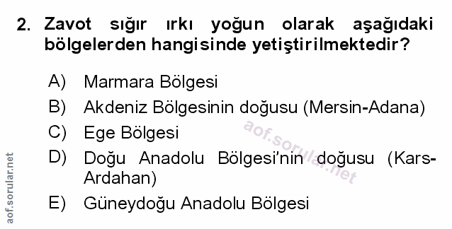 Soru 2