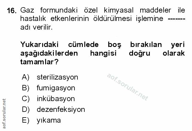 Soru 16