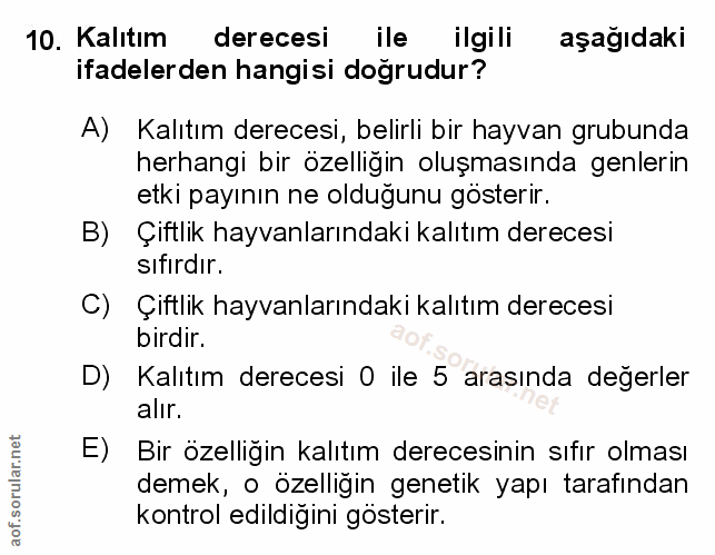 Soru 10