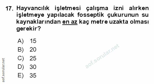 Soru 17