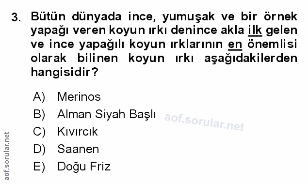Soru 3