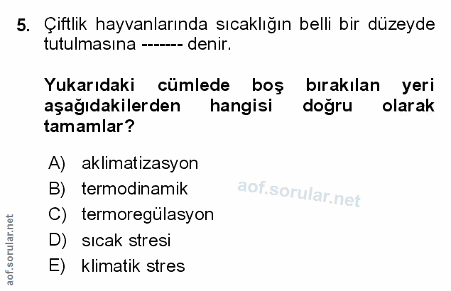 Soru 5