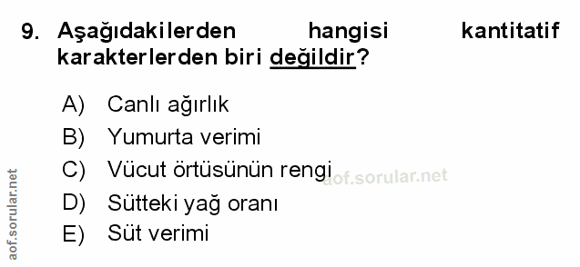 Soru 9