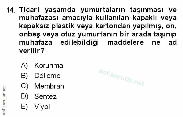Soru 14