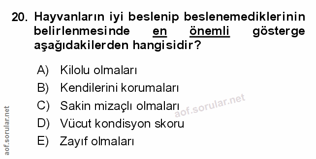Soru 20