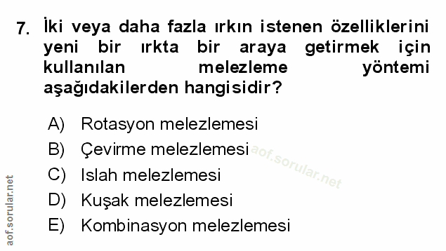Soru 7