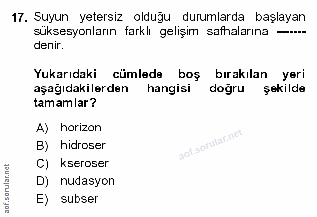 Soru 17