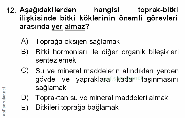 Soru 12
