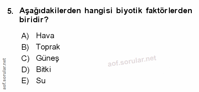 Soru 5