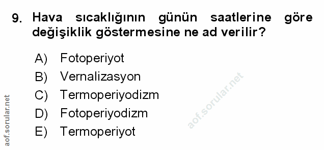 Soru 9