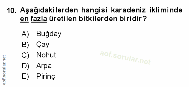Soru 10