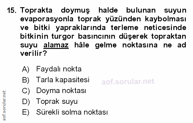 Soru 15