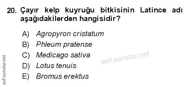 Soru 20