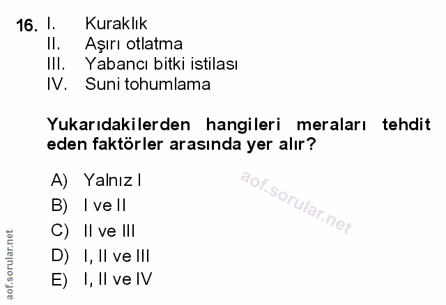 Soru 16