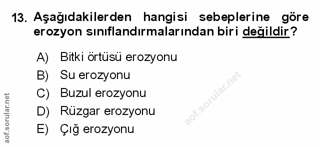 Soru 13