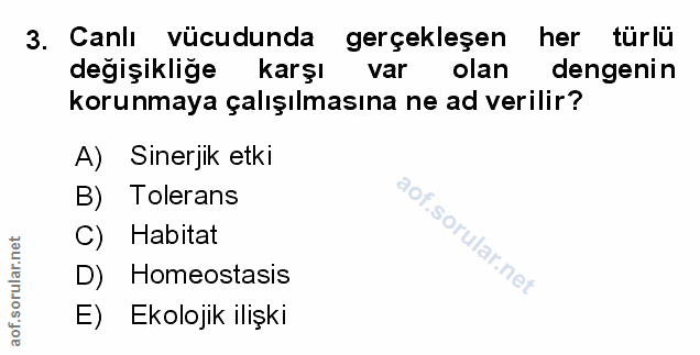 Soru 3