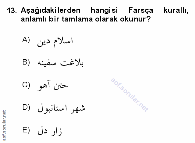 Soru 13