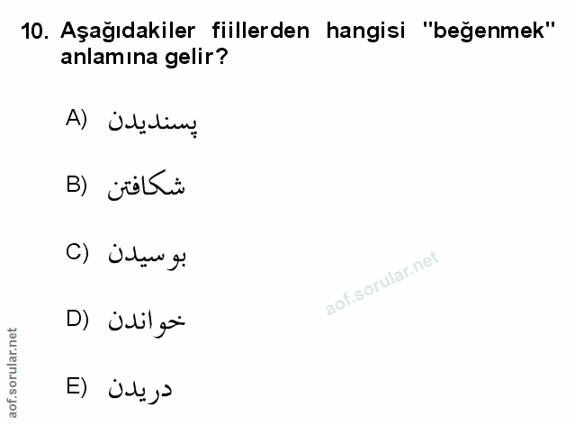Soru 10