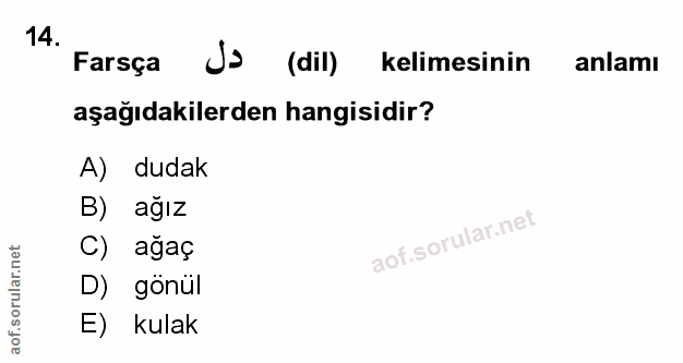Soru 14