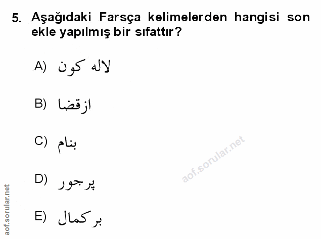 Soru 5