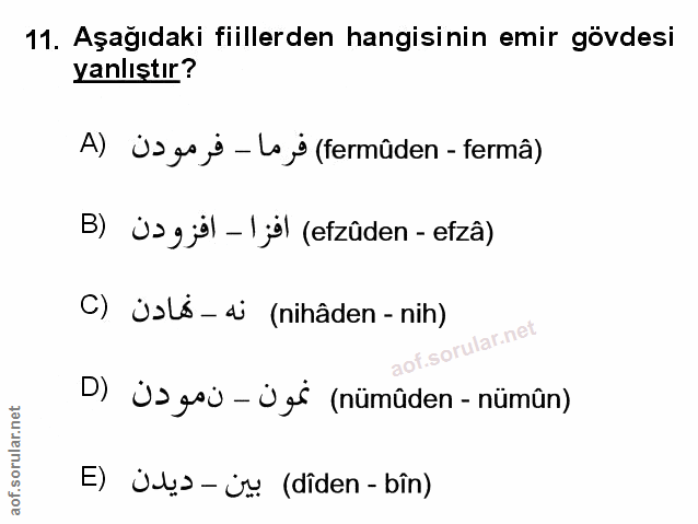 Soru 11