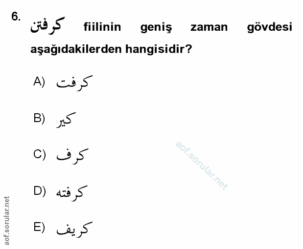 Soru 6