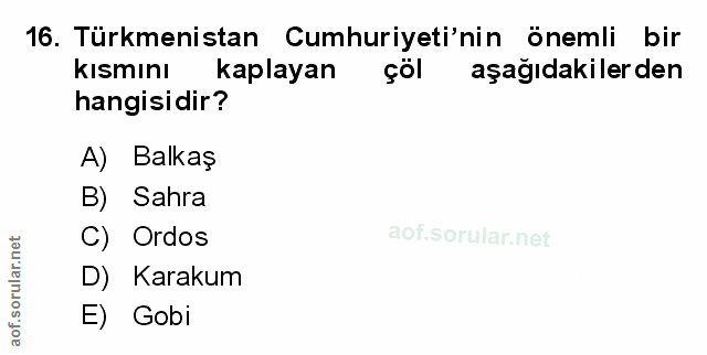 Soru 16