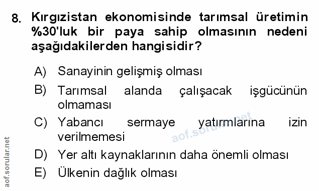 Soru 8