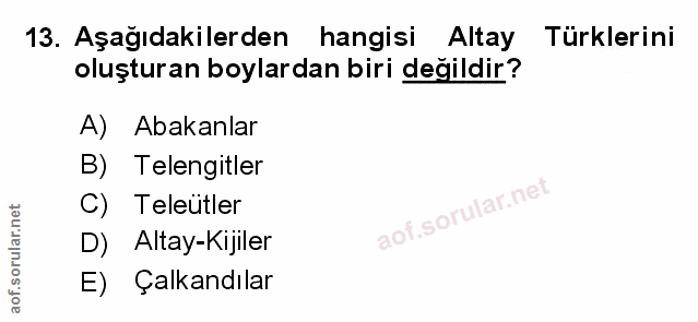 Soru 13
