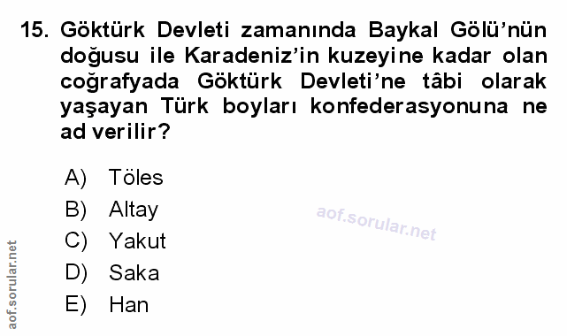 Soru 15