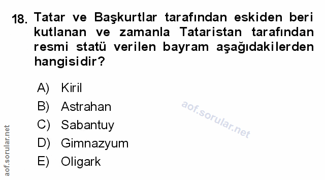 Soru 18
