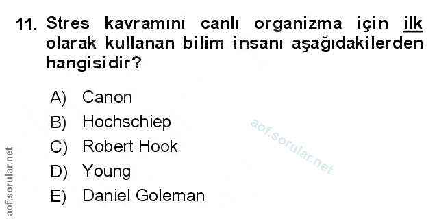 Soru 11