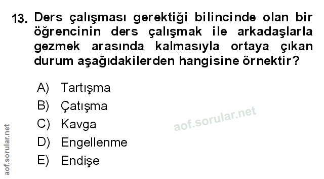 Soru 13