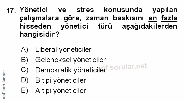 Soru 17