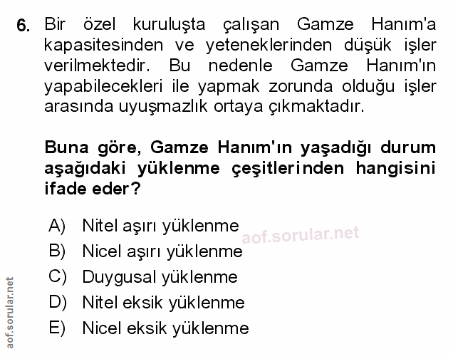 Soru 6