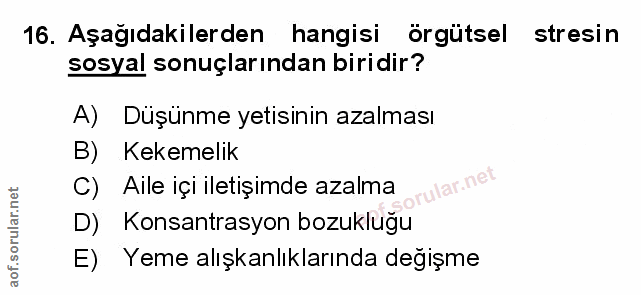 Soru 16