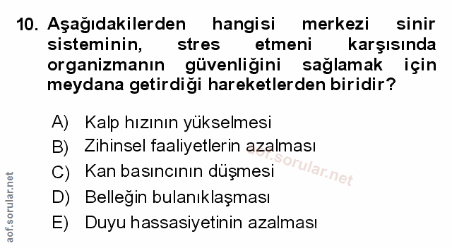 Soru 10