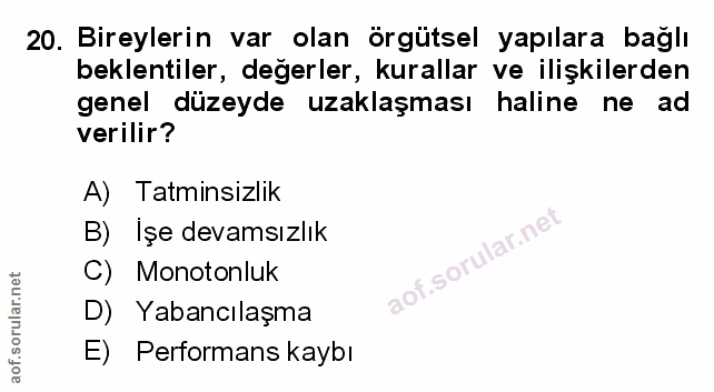 Soru 20
