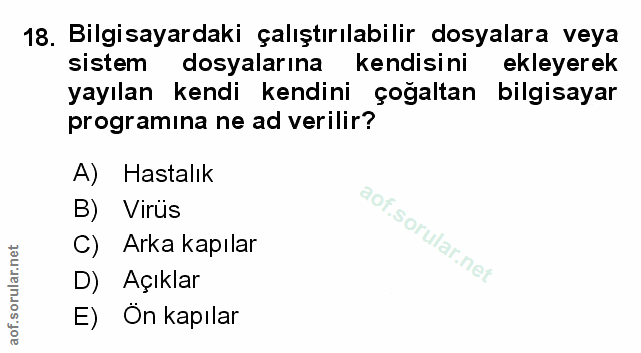 Soru 18