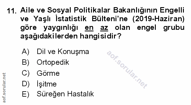 Soru 11