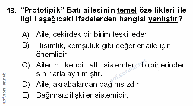 Soru 18