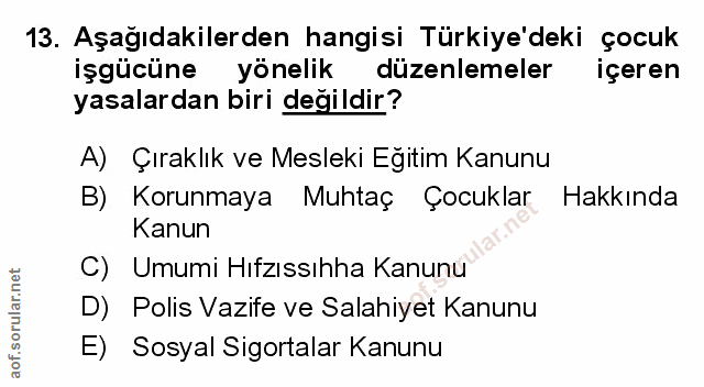Soru 13