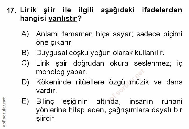 Soru 17
