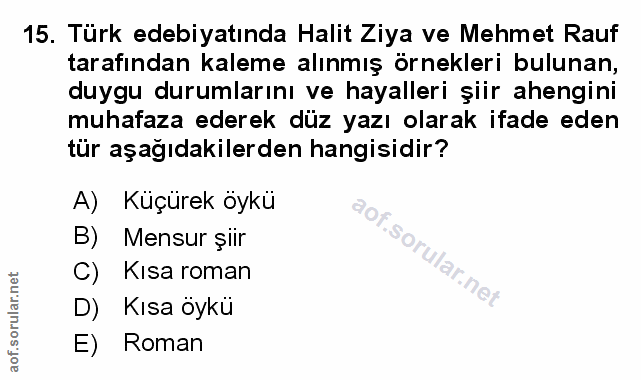 Soru 15