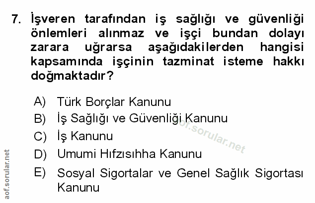 Soru 7