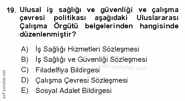 Soru 19