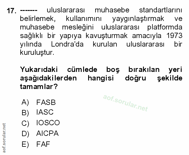 Soru 17