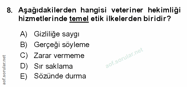 Soru 8