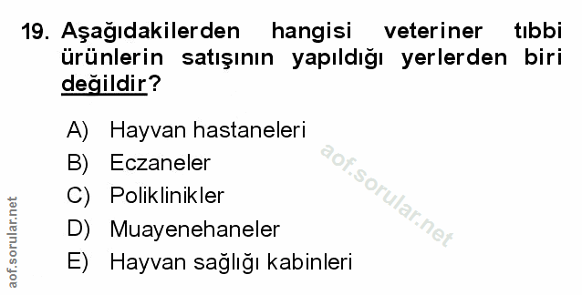 Soru 19