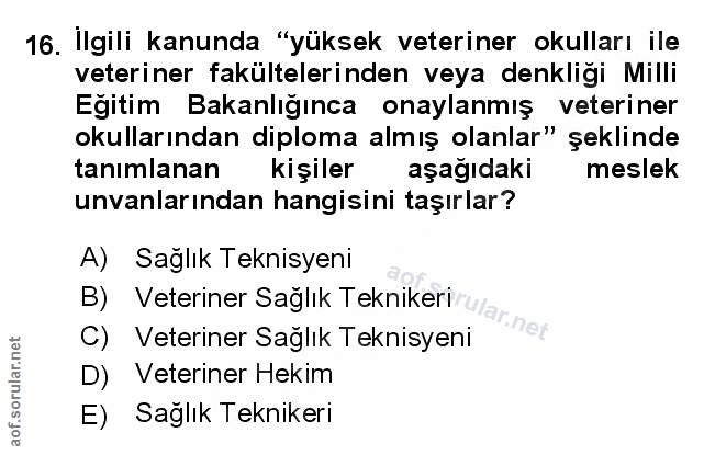 Soru 16
